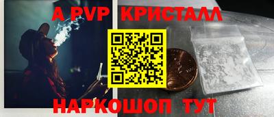 шишки Лесосибирск