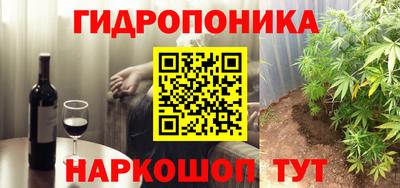 шишки Лесосибирск