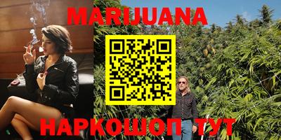 шишки Лесосибирск
