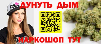 шишки Лесосибирск